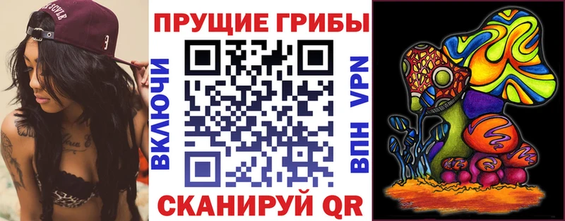Псилоцибиновые грибы Psilocybe Камызяк
